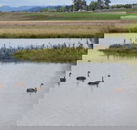 Beardy Waters Dam and Woodlands - Schoolies Week Accommodation