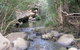 Bomaderry Creek Regional Park - thumb 0