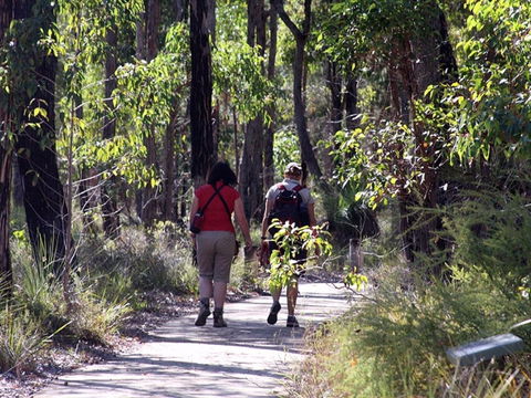 Forest Path, Crooked Brook - Schoolies Week Accommodation 0