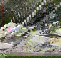 Maroochy Regional Bushland Botanic Garden - Schoolies Week Accommodation