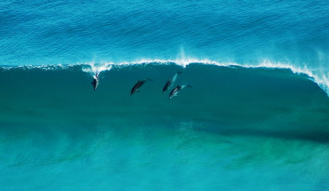 Sand Patch - Schoolies Week Accommodation 1