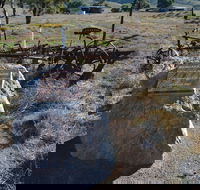 Wangaraleednie Monument  Ruins - Schoolies Week Accommodation