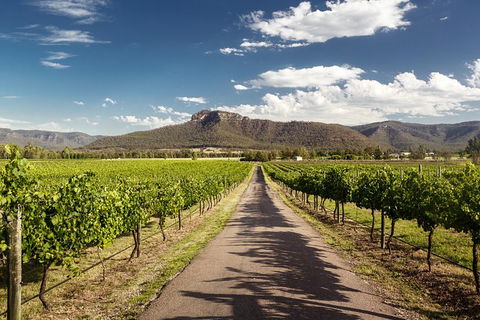 Hunter Valley Highlights Private Wine Tour From Sydney - Schoolies Week Accommodation 2