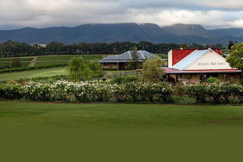 Hunter Valley Highlights Private Wine Tour From Sydney - Schoolies Week Accommodation 5