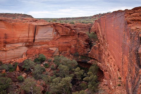 Uluru, Kata Tjuta And Kings Canyon Camping Safari From Alice Springs - Schoolies Week Accommodation 4