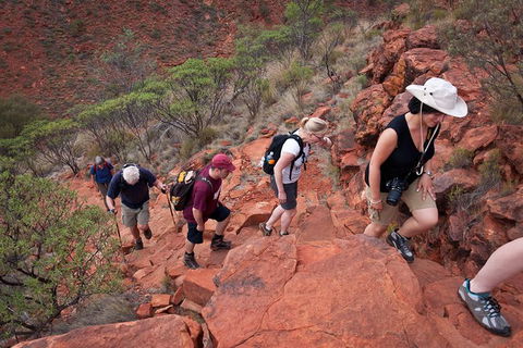 Uluru, Kata Tjuta And Kings Canyon Camping Safari From Alice Springs - Schoolies Week Accommodation 3