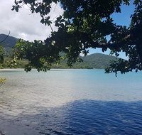 Full Day Tour in the Daintree - Schoolies Week Accommodation