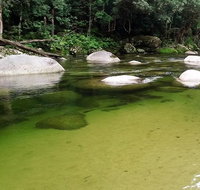 Afternoon Half-Day Daintree Rainforest and River Tour - Schoolies Week Accommodation