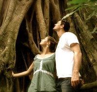 Daintree and Cape Tribulation Full Day Guided Tour - Schoolies Week Accommodation