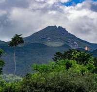 Port Douglas Daintree National Park Boutique Full-Day Tour - Schoolies Week Accommodation