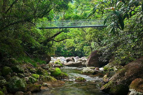 SHUTTLE - Mossman Gorge & Cooya Beach From Port Douglas (Return Transfer) - Schoolies Week Accommodation 4