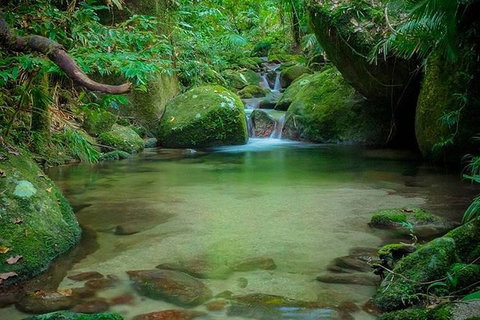 SHUTTLE - Mossman Gorge & Cooya Beach From Port Douglas (Return Transfer) - Schoolies Week Accommodation 2