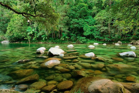 SHUTTLE - Mossman Gorge & Cooya Beach From Port Douglas (Return Transfer) - Schoolies Week Accommodation 3