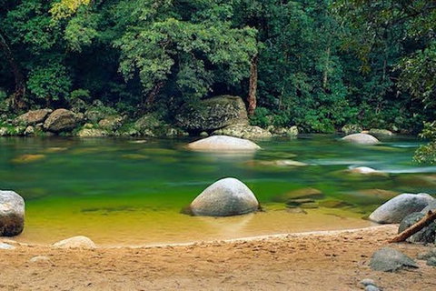 SHUTTLE - Mossman Gorge & Cooya Beach From Port Douglas (Return Transfer) - Schoolies Week Accommodation 1