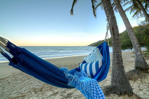 SHUTTLE - Thala Beach And Turtle Cove From Port Douglas (Return Transfer) - Schoolies Week Accommodation 3