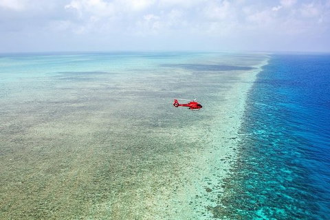Day Tour To Kuranda, Rainforest And Port Douglas With Flight - Schoolies Week Accommodation 3