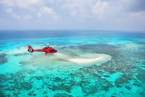 Day Tour To Kuranda, Rainforest And Port Douglas With Flight - Schoolies Week Accommodation 2