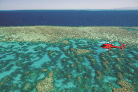 Day Tour To Kuranda, Rainforest And Port Douglas With Flight - Schoolies Week Accommodation 0