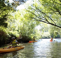 Paddle with the Platypus Twilight Kayak Adventure - Schoolies Week Accommodation