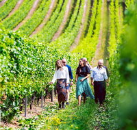 Tasmanian Wine Tour - Schoolies Week Accommodation