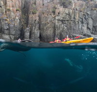 Tasman Peninsula full day kayaking tour - Schoolies Week Accommodation