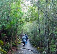 kunanyi/Mt Wellington Explorer Bus - One Way Tour - Schoolies Week Accommodation