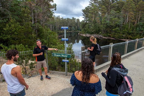 Tahune Airwalk Active Day Trip From Hobart Including Hastings Caves - Schoolies Week Accommodation 3