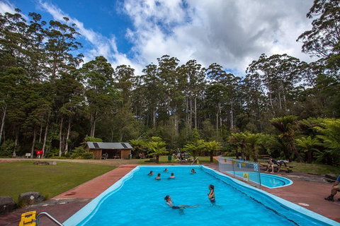 Tahune Airwalk Active Day Trip From Hobart Including Hastings Caves - Schoolies Week Accommodation 2