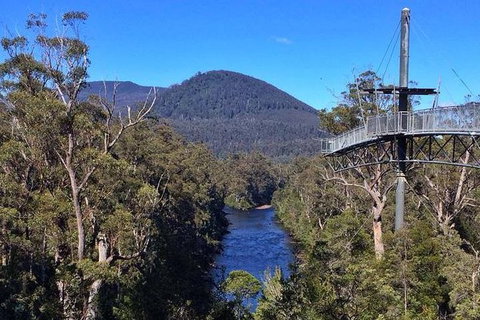 Tahune Airwalk Active Day Trip From Hobart Including Hastings Caves - Schoolies Week Accommodation 6