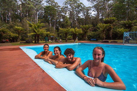 Tahune Airwalk Active Day Trip From Hobart Including Hastings Caves - Schoolies Week Accommodation 4
