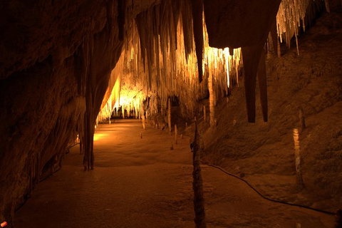 Tahune Airwalk Active Day Trip From Hobart Including Hastings Caves - Schoolies Week Accommodation 8