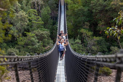 Tahune Airwalk Active Day Trip From Hobart Including Hastings Caves - Schoolies Week Accommodation 0