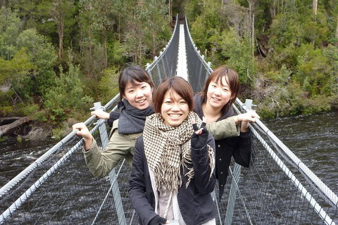 Tahune Airwalk Active Day Trip From Hobart Including Hastings Caves - Schoolies Week Accommodation 7