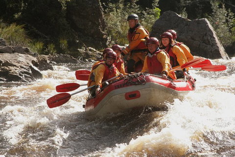 King River White Water Raft Journey From Queenstown With Lunch - Schoolies Week Accommodation 4