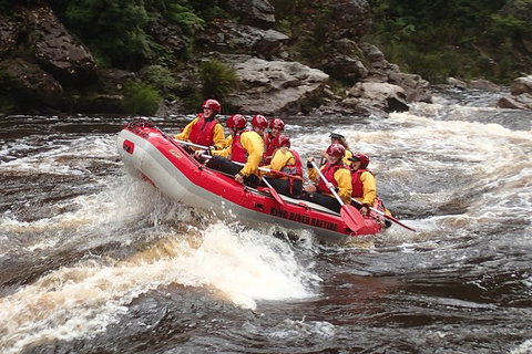 King River White Water Raft Journey From Queenstown With Lunch - Schoolies Week Accommodation 0