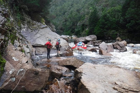 King River Whitewater Rafting Trip Including The Westcoast Wilderness Railway - Schoolies Week Accommodation 2