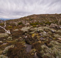 Alpine Loop - Schoolies Week Accommodation