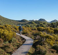Hartz Mountains premium private photo-oriented day tour from Hobart - Schoolies Week Accommodation