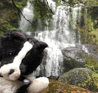Waterfalls Guided Tour - Schoolies Week Accommodation