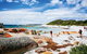 Wineglass Bay Private Charter Service - thumb 2