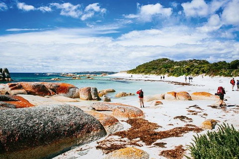 Wineglass Bay Private Charter Service - Schoolies Week Accommodation 2