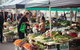 The Hobart Local - Private, Luxury Half-day Tour - thumb 5