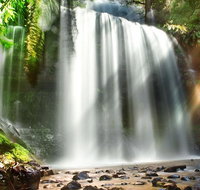 Mount Field Private Charter Service - Schoolies Week Accommodation