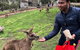 Bonorong Wildlife Volunteer Tour - thumb 2