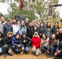Bonorong Wildlife Volunteer Tour - Schoolies Week Accommodation