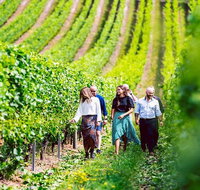 Hobart Highlights of Tasmanian Wine Full Day Tour - Schoolies Week Accommodation