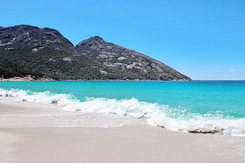 Sea & Explore Wineglass Bay & Freycinet National Park - Cruise & Walk - Schoolies Week Accommodation 4