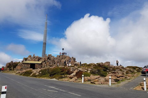Mt. Wellington Morning Hike + Afternoon Beer & History Walk - Schoolies Week Accommodation 21