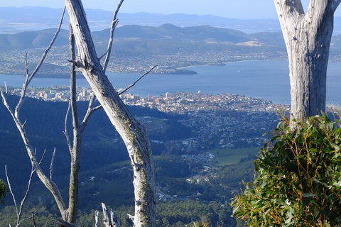 Mt. Wellington Morning Hike + Afternoon Beer & History Walk - Schoolies Week Accommodation 10