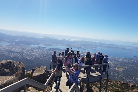 Mt. Wellington Morning Hike + Afternoon Beer & History Walk - Schoolies Week Accommodation 2